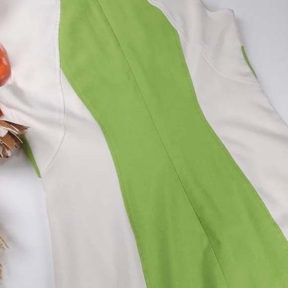 Ellen Tracy Lime Cream Dress Sz 4 - Picture 10 of 13